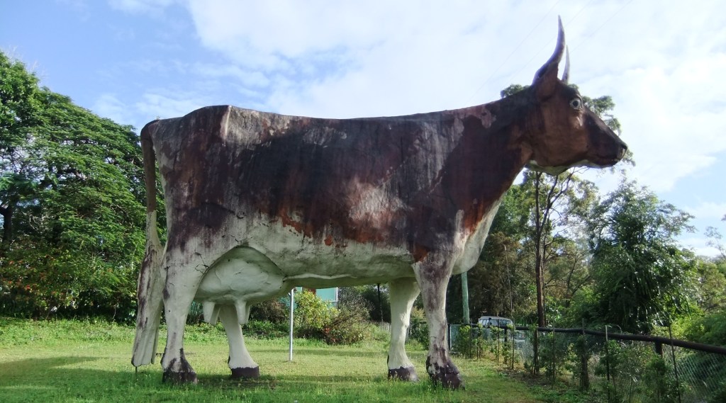 The Big Cow
