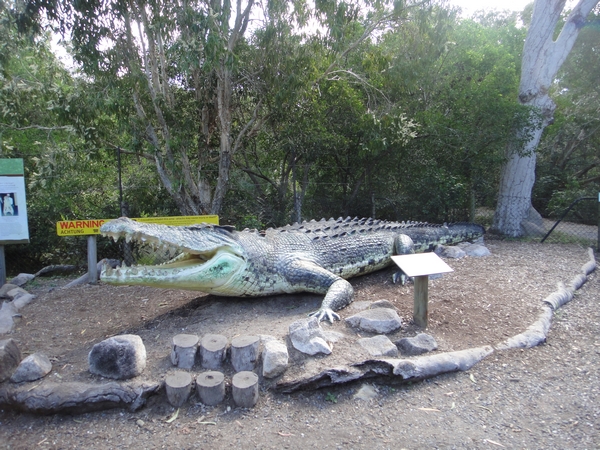 The Big Crocodile in Wangetti