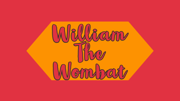 William the Wombat in Thallon, Queensland